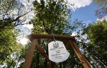Фото 12: Алея пам'яті Героїв: у львівському парку родичі загиблих військових висадили дерева пам'яті