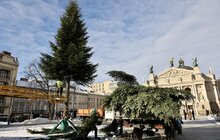 Фото 7: Головну ялинку міста розібрали (відео)