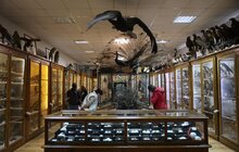 Фото 32: Міжнародний день музеїв у Львові відвідали майже 13 тисяч осіб