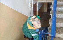 Фото 84: Комунальні служби дезінфікують місто: миють вулиці, тротуари, зупинки транспорту, сходові клітки будинків