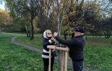 Фото 2: У місті висаджують дерева, подаровані спонсорами