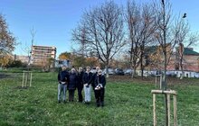 Фото 6: У місті висаджують дерева, подаровані спонсорами