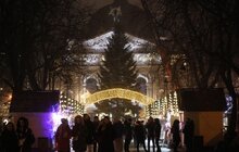 Фото 4: До Львова привезли головну ялинку міста