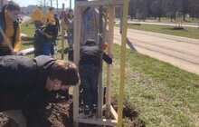 Фото 5: На вихідних у Львові висадили 73 дерева