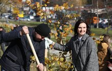 Фото 5: У Львові біля лікарні швидкої медичної допомоги висадили «Сад Здоров’я»