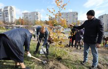 Фото 13: У Львові біля лікарні швидкої медичної допомоги висадили «Сад Здоров’я»