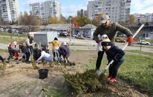 Фото 19: У Львові біля лікарні швидкої медичної допомоги висадили «Сад Здоров’я»