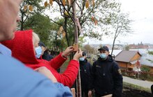 Фото 15: У Львові висадили 96 іменних дерев, присвячених загиблим Героям