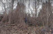 Фото 2: Міські служби спільно з громадою прибрали занедбані могили на кладовищі в с. Лисиничі і почистили територію від самосіву