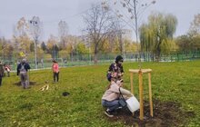 Фото 1: У шести школах та дитсадках Львова висадили дерева і кущі