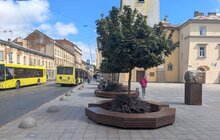 Фото 3: На площі Митній оновили 18 дерев’яних лавок