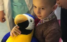 Фото 6: «Поспішайки»: у Львові по-особливому відзначили День передчасно народжених дітей