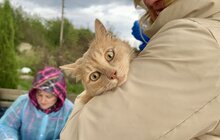 Фото 7: Майже 30 домашніх тварин провакцинували від сказу у Лисиничах