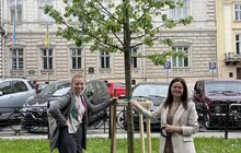 Фото 7: Львів'яни в межах акції 