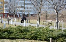 Фото 5: На Сихові висаджують 20 нових дерев, план міста на цей рік — не менше 10 тис зелених насаджень