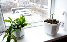 Фото 21: Помилися, поїли, отримали одяг і допомогу: місто знову організувало масштабний захід для безхатьків
