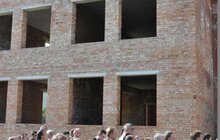 Фото 6: «Львів отримає 2 великі комплекси: щоб вчитись і щоб знати правду», – А. Садовий про добудову дошкільного навчального закладу на Сихові-18 та про будівництво «Території Терору»