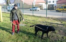 Фото 17: ЛКП «Лев» облаштувало тренувально-вигульний майданчик на вул. Промисловій