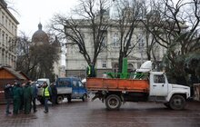 Фото 13: У Львові встановили головну новорічну ялинку: за тиждень її урочисто відкриють
