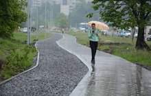 Фото 9: У Львові продовжують облаштовувати велодоріжки: роботи тривають на низці вулиць