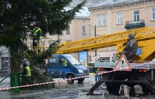 Фото 7: Головну ялинку міста демонтовують та відправлять на утилізацію