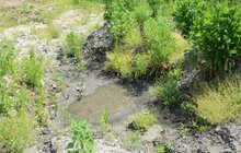 Фото 33: Грибовицьке сміттєзвалище готують до початку дегазації та комплексної рекультивації