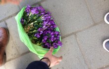 Фото 4: 500 букетів первоцвітів було вилучено під час проведених рейдів