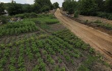 Фото 5: Міський голова оглянув будівництво доріг у районі «Під Голосоком»