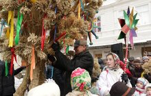 Фото 20: Різдвяного Дідуха встановили у Львові в переддень Різдва