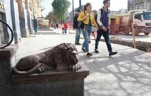 Фото 13: На вул. Личаківській триває капітальна реконструкція дорожнього покриття