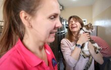 Фото 14: Львів перший у світі підрахував вуличних котів