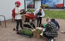 Фото 5: У Львові мешканці модульного містечка висадили грядки