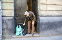 Фото 29: У Львові потребуючих осіб безкоштовно забезпечують продуктовими наборами
