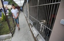 Фото 2: У Львові відомі спортсмени допомагали безпритульним тваринам