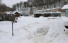 Фото 41: У мерії розглядають можливості комплексного розвитку парку «Знесіння» і Домівки врятованих тварин