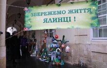 Фото 4: Загальноміська акція «Збережемо життя ялинці»