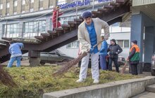 Фото 2: В лікарні швидкої допомоги організували толоку