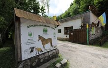 Фото 30: «Ми хочемо збудувати ще один еколого-натуралістичний центр в частині Снопківського парку», — А. Садовий