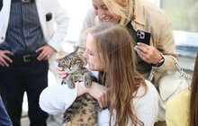 Фото 5: Лауреатки Нобелівської премії миру Джоді Вільямс, Лейма Гбові та Тавакуль Карман стали амбасадорками проєкту «Незламні»