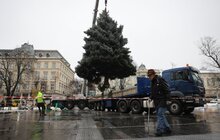 Фото 7: Цього року новорічна ялинка у Львові буде особливою