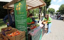 Фото 14: Сьогодні у Стрийському парку відбувається грандіозний Art&Agro-пікнік «НЕ ЗАЛЕЖУЙСЯ!»