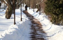 Фото 11: У парку «700-річчя Львова» продовжують посипати доріжки кавовою гущею для боротьби з ожеледицею