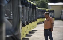 Фото 7: Перші великогабаритні автобуси МАЗ вже отримало ЛК «АТП-1»