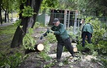 Фото 11: Аварійні бригади оперативно ліквідовують наслідки негоди в місті
