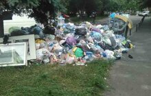 Фото 52: У місті 265 майданчиків, де ситуація з вивезенням сміття критична 