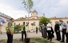 Фото 9: У Львові висадили тюльпанове дерево на честь 25-річчя візиту Папи Івана Павла ІІ