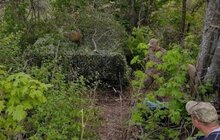 Фото 5: Вплети ювілейну стрічку: волонтери кличуть львів’ян плести маскувальні сітки