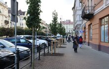 Фото 8: 41 нове дерево висаджують у центральній частині Львова: завдяки спонсорам зможуть закупити 50 дронів