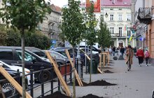 Фото 18: 41 нове дерево висаджують у центральній частині Львова: завдяки спонсорам зможуть закупити 50 дронів