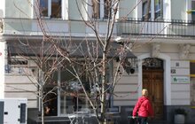 Фото 1: У Львові висадять понад 500 дерев та кущів (відео)